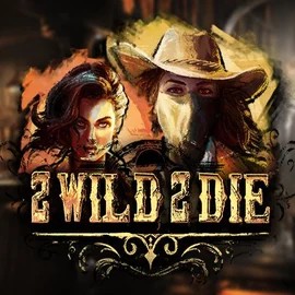 Try 2 Wild 2 Die slot by Hacksaw Gaming on rainbetcasino.app – logo image