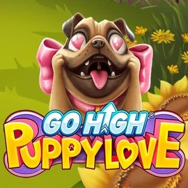 Go High Puppy Love – slot by RubyPlay, featured at rainbetcasino.app