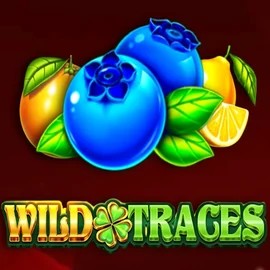 Official Slots logo: Wild Traces by Amusnet Interactive at Rainbet Casino